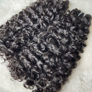 Burmese Curl - 1039 Hair