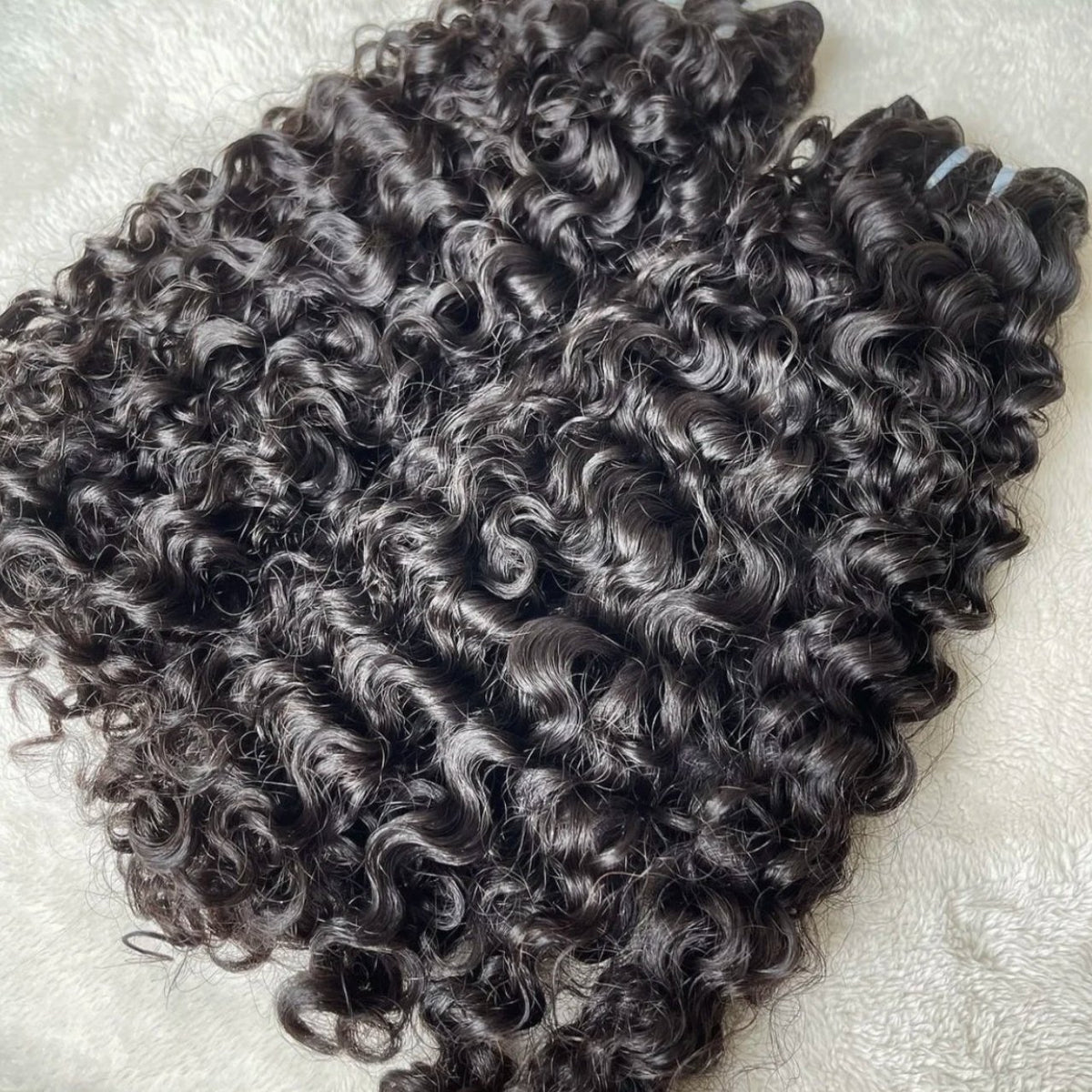 Burmese Curl - 1039 Hair